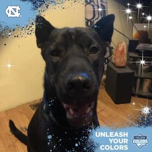 Meet your Posher, Gary